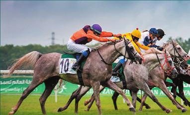 Race Gonitwa AL