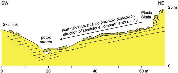 Mechanizmy i uwarunkowania rozwoju progów morfologicznych Gór Stołowych 19 Ryc. 5.