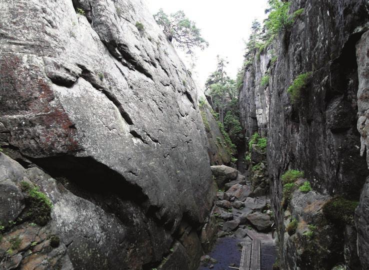14 Filip Duszyński Fot. 4. Najsłynniejsza rozpadlina Gór Stołowych Piekiełko (fot. F. Duszyński) The most famous cleft in the Stołowe Mountains Piekiełko ( Little Hell ) O kluczowym znaczeniu cech systemu spękań przekonany był także G.