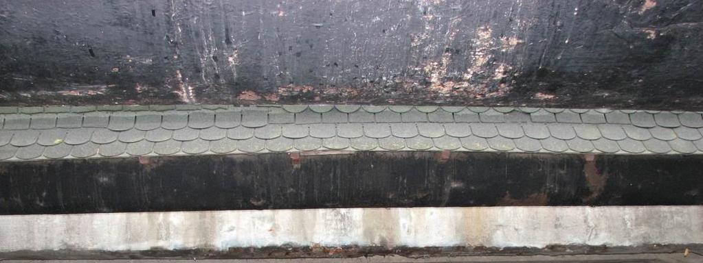 215 Nr 11 Fot.