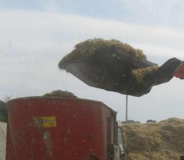 300 kg