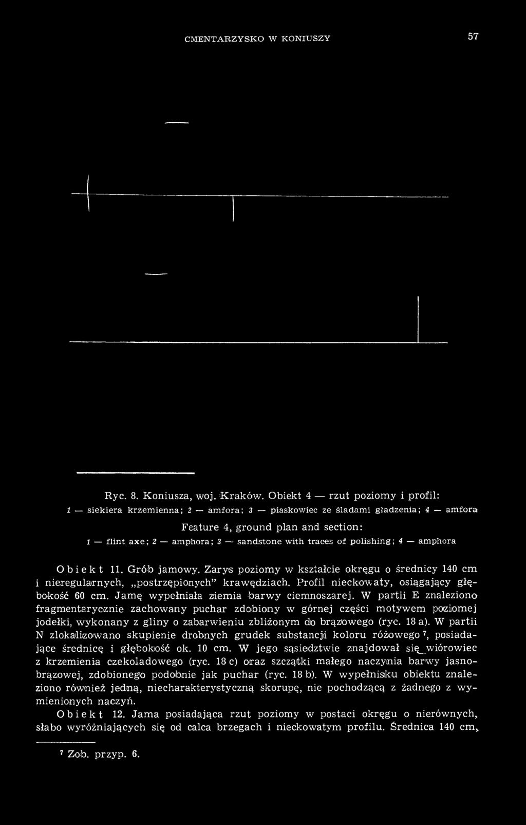polishing ; 4 amphora Obiekt 11. Grób jamowy. Zarys poziomy w kształcie okręgu o średnicy 140 cm i nieregularnych, postrzępionych" krawędziach. Profil nieckowaty, osiągający głębokość 60 cm.