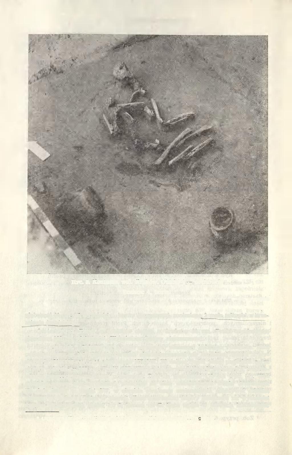 58 KRZYSZTOF TUNIA Ryc. 9. Koniusza, woj. Kraków. Obiekt 4 pochówek Feature 4, burial Fot. K. Tunia głębokość 60 cm.
