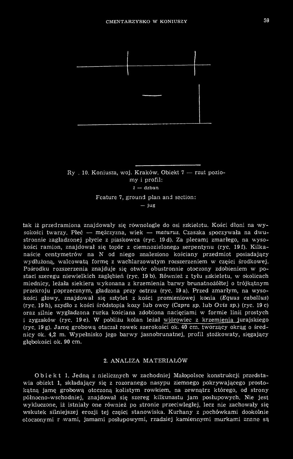 Płeć mężczyzna, wiek maturus. Czaszka spoczywała na dwustronnie zagładzonej płycie z piaskowca (ryc. 19 d).