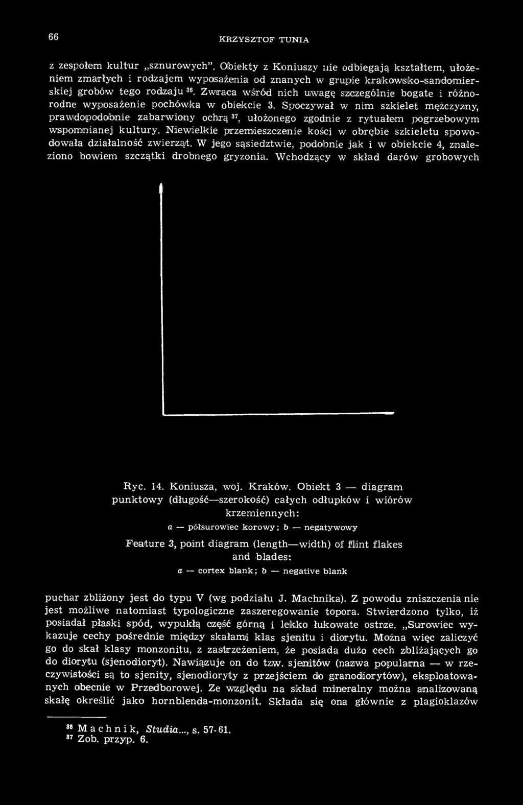 Zwraca wśród nich uwagę szczególnie bogate i różnorodne wyposażenie pochówka w obiekcie 3.