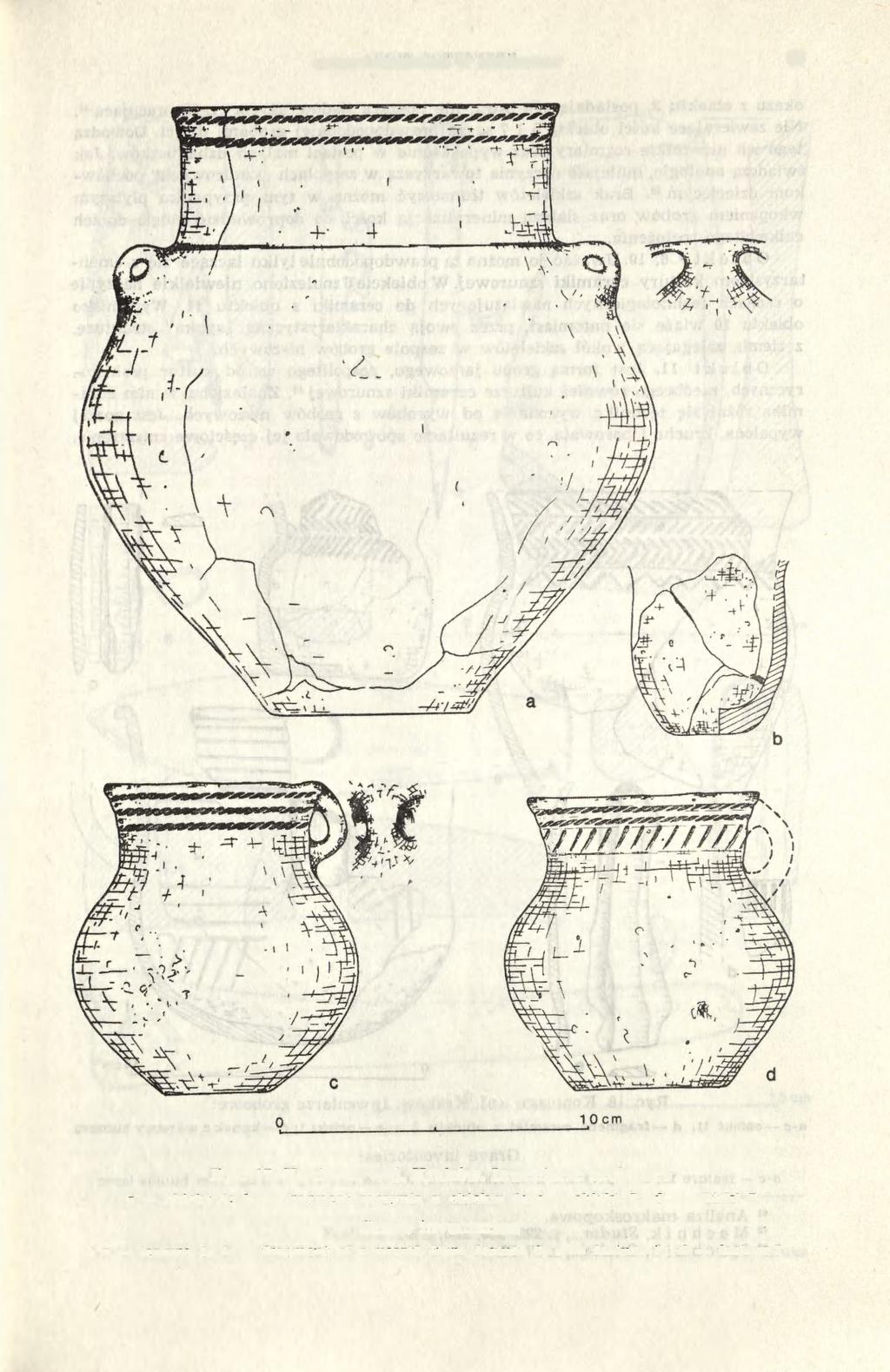 CMENTARZYSKO W KONIUSZY 69 Ryc. 17. Koniusza, woj. Kraków.
