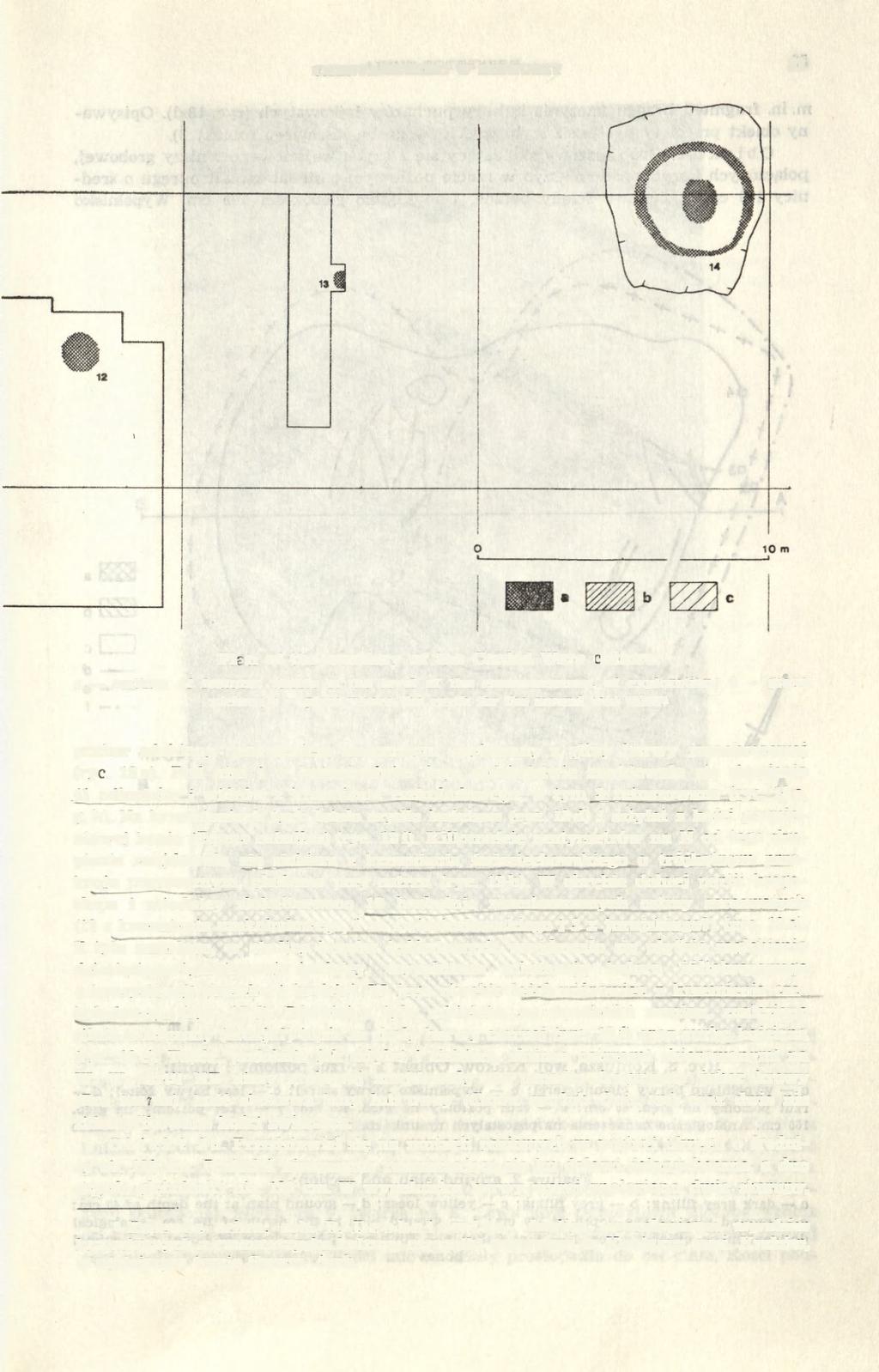 CMENTARZYSKO W KONIUSZY 51 Plan of the cemetery of the Corded Were culture: a outlines of features visible at the level of the commencement of exploration; b grave niches; c place where the earth for
