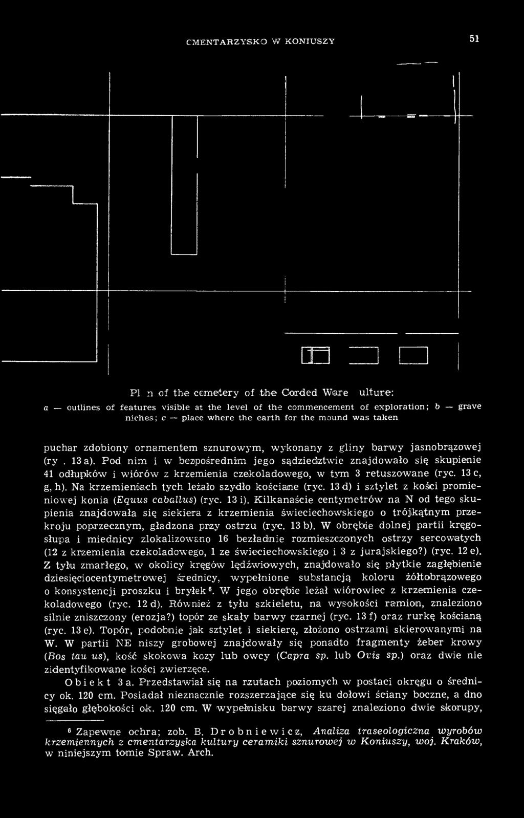 Pod nim i w bezpośrednim jego sądziediztwie znajdowało się skupienie 41 odłupków i wiórów z krzemienia czekoladowego, w tym 3 retuszowane (ryc. 13 c, g, h).
