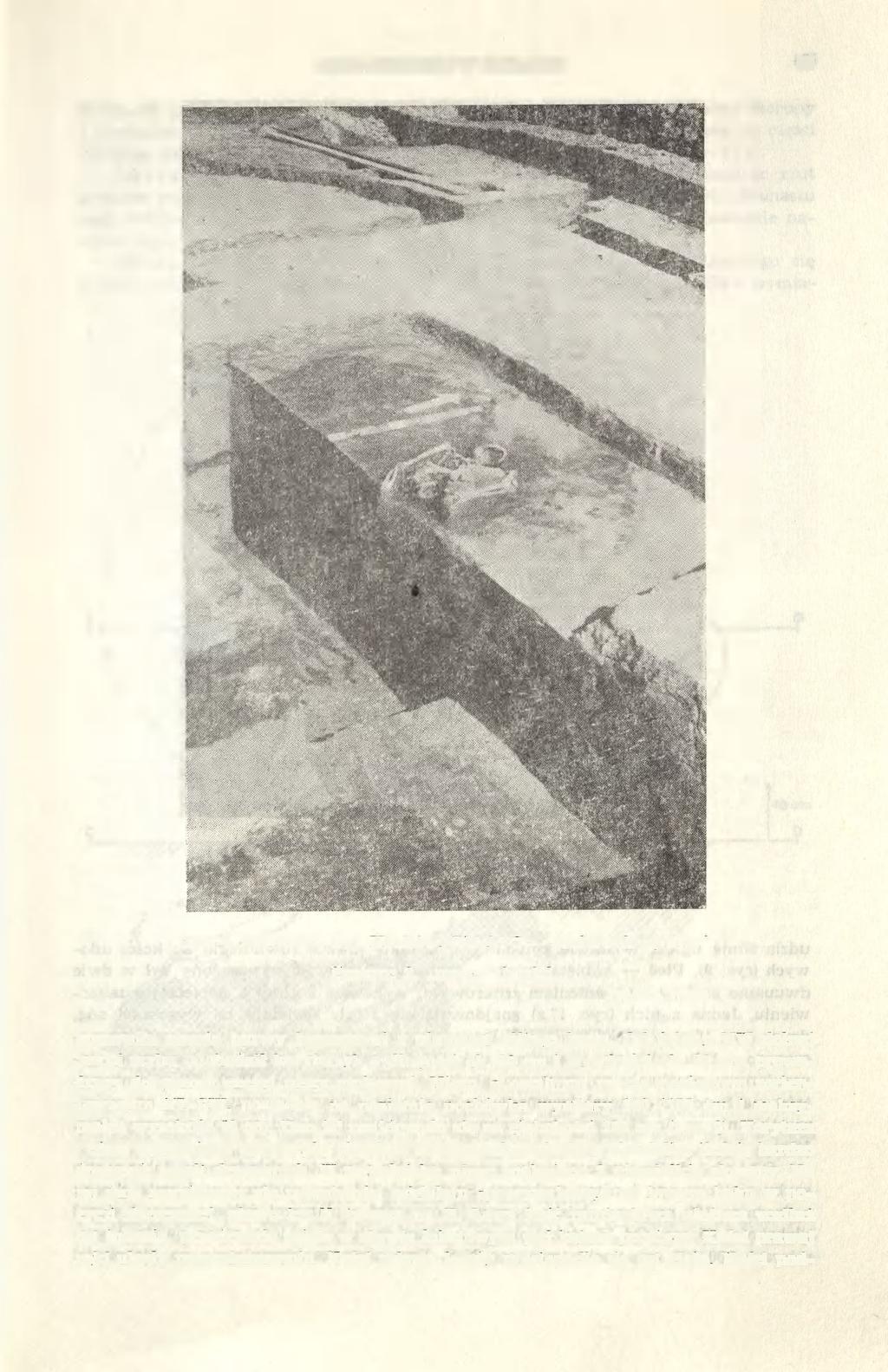 CMENTARZYSKO W KONIUSZY 53 Ryc. 4. Koniusza, woj. Kraków. Obiekt 2 pochówek górny" Feature 2, upper" burial Fot. K. Tunia stanowiła ziemia barwy jasnoszarej z plamami żółtego lessu.