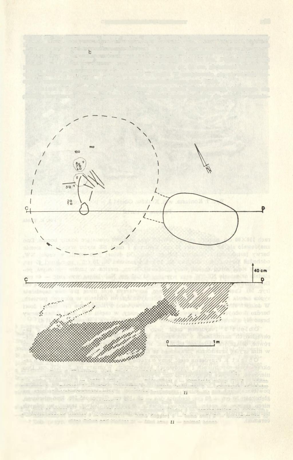 CMENTARZYSKO W KONIUSZY 55 65 cm.