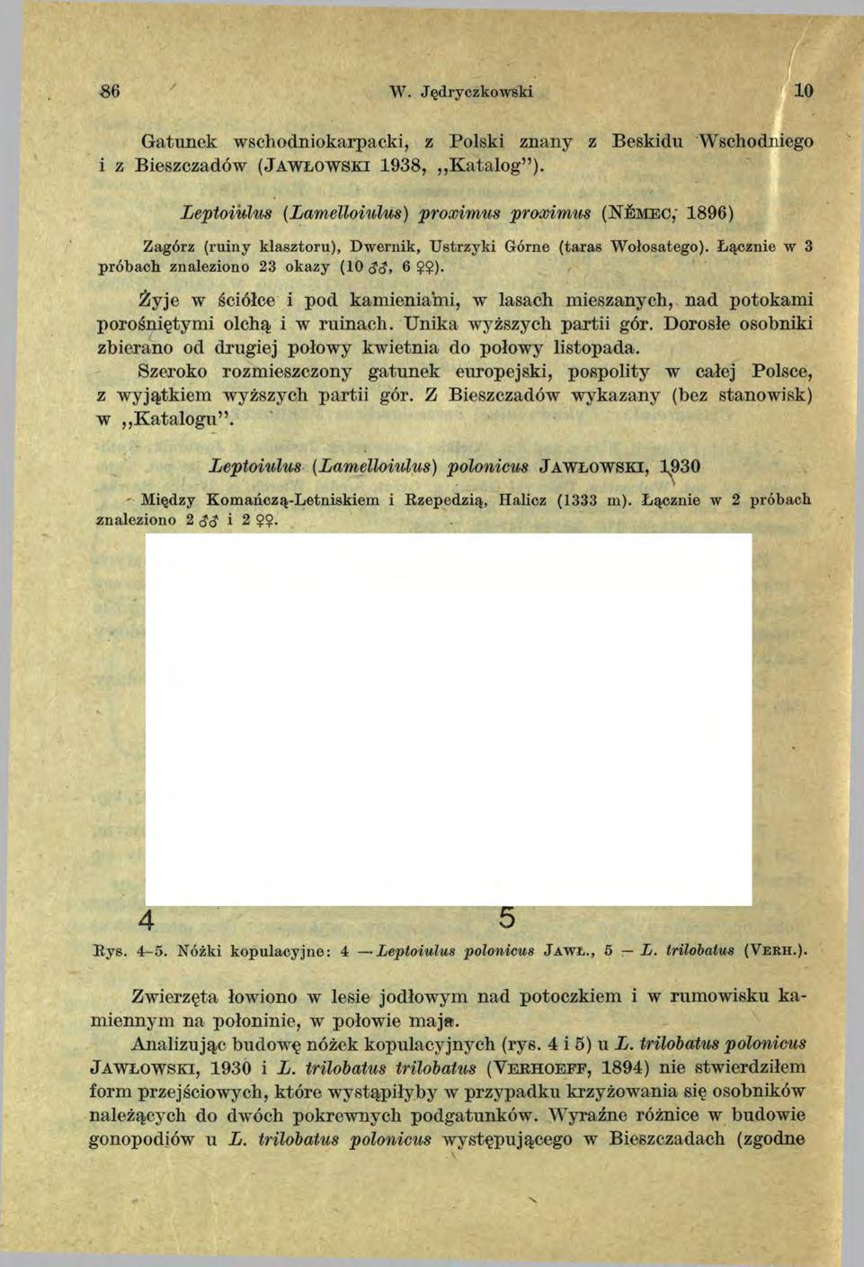 8 6 W. Jędryczkowski 10 Gatunek wschodniokarpacki, z Polski znany z Beskidu Wschodniego i z Bieszczadów ( J a w ł o w s k i 1938, K atalog ).