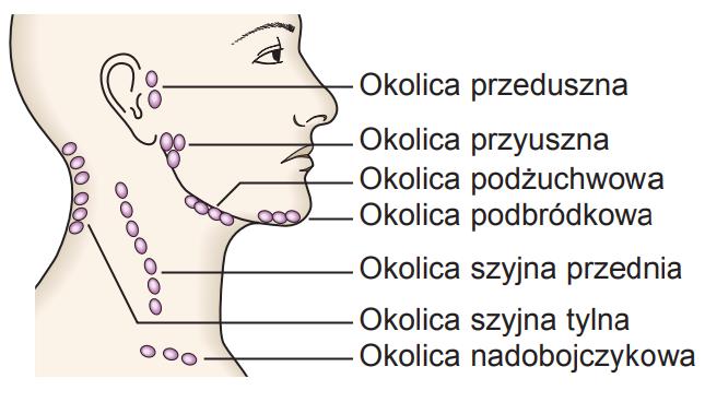 Lokalizacja: miejscowe, uogólnione Wielkość (cm):