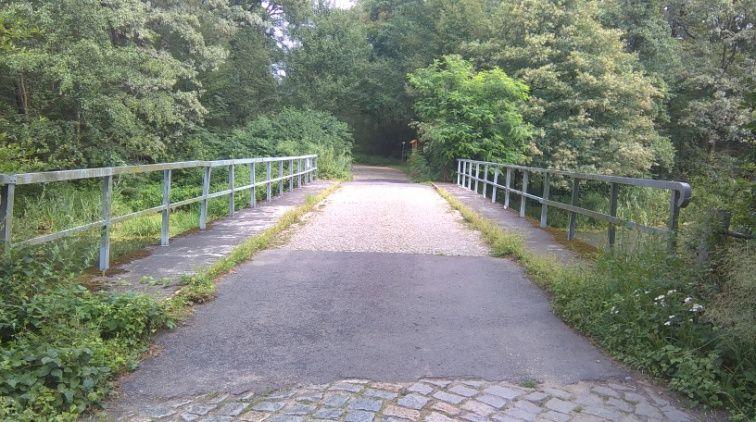 Odrzańskiej (droga powiatowa nr 1931D) pomiędzy wierzą widokową w Kotowicach znajdującą się przy rzece Odrze a miejscowością Kotowice.