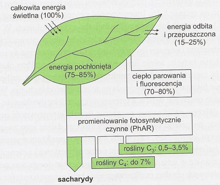 Wpływ astronomii na nauki rolnicze Magdalena Wszołek Uniwersytet Rolniczy w Krakowie Astronomia jako jedna z najstarszych nauk miała wpływ na rozwój różnych dziedzin życia, w tym między innymi na