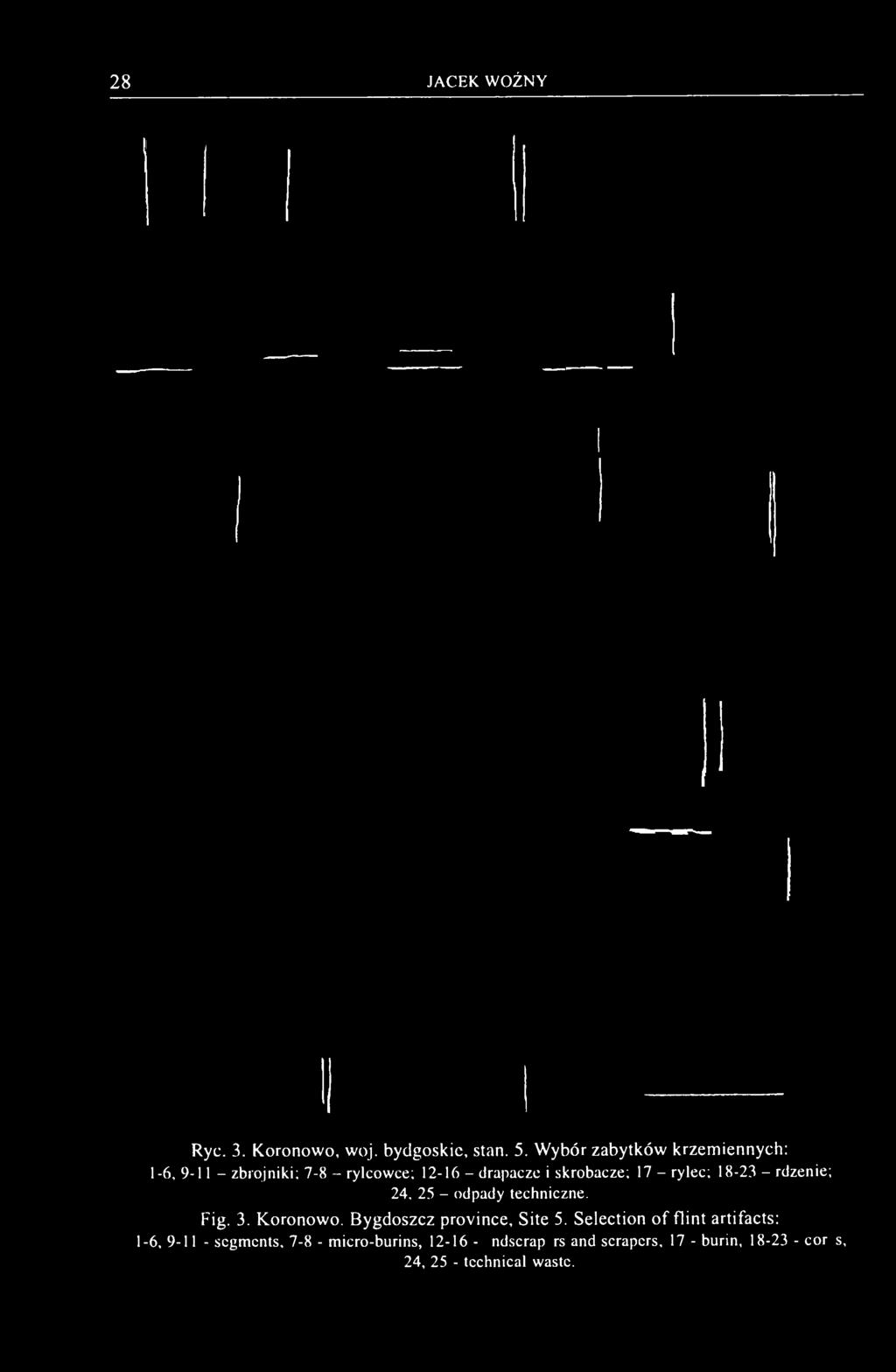 rylec; 18-23 - rdzenie; 24, 25 - odpady techniczne. Fig. 3. Koronowo. Bygdoszcz province. Site 5.