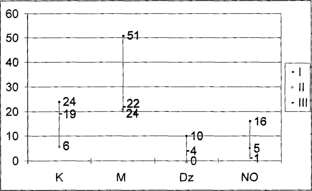 75/97; typ IV: 3 76/97; typ Via: 4 71/95; 5 78/95. Ryc. 20.