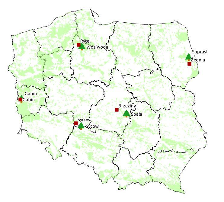 Doświadczenie IBL 2004 Założenia Wiek, naturalność Typ siedliskowy BMśw Układ doświadczalny STP w blokach Rodów