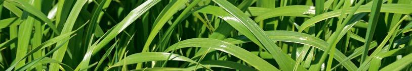 polecana/bardzo dobra - polecana/dobra