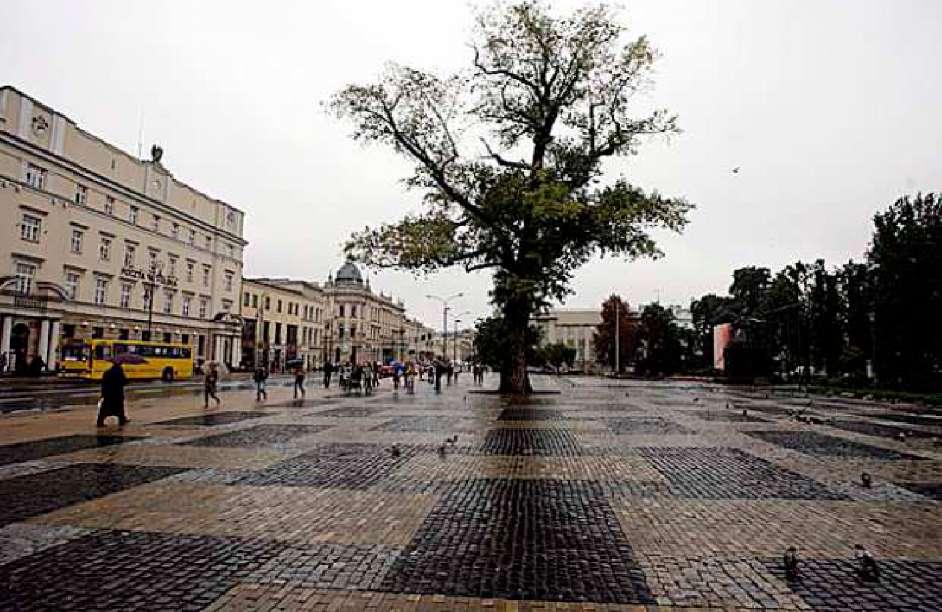 Lata 30. XX w. poprzednie 3/9 następne Fot. Jakub Orzechowski / AG Na lata 70. wskazuje także pogarda na forum: Nazwa Baobab funkcjonowała już w latach 70'tych.