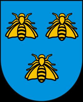 Symbolika Zduńskiej Woli herb XIX-wieczny, aktualny :herb podwójny i flaga