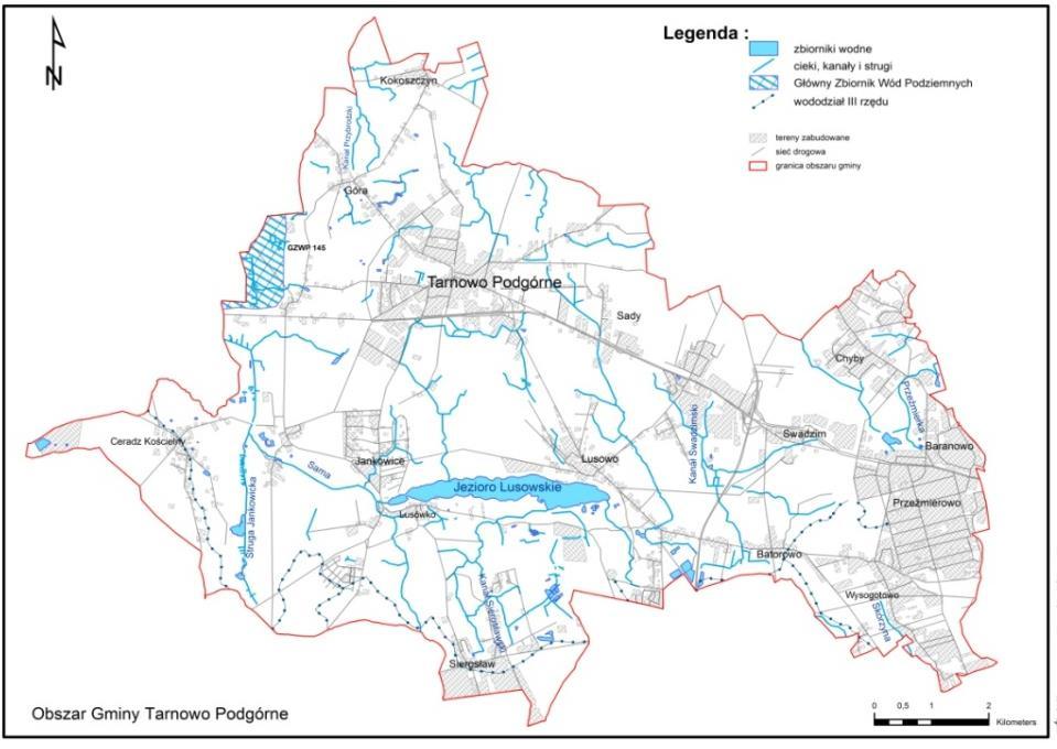 Opracowanie koncepcji zalesień dla gminy Tarnowo Podgórne 2951 Dość głęboko wcięta misa jeziora oraz duże spadki terenów nadbrzeżnych sprzyjają drenażowi wód podziemnych i powierzchniowych na dużym