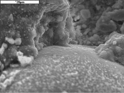 76 W. ichór enosphere Fig. 12. SE observation of the interfacial transition zone of hardened paste sample. Overall view Rys. 12. Obraz SE powierzchni mikrosfery w stwardniałym zaczynie cementu glinowego Fig.
