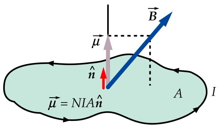 Moment magnetyczny Pod wpływem momentu siły ramka ustawia się prostopadle do kierunku wektora indukcji pola magnetycznego, tak aby μ B Moment magnetyczny