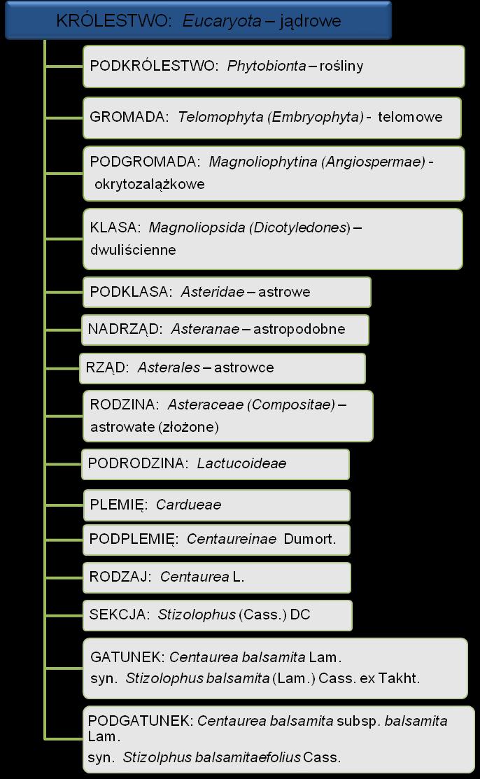 II. CZĘŚĆ TEORETYCZNA 1.