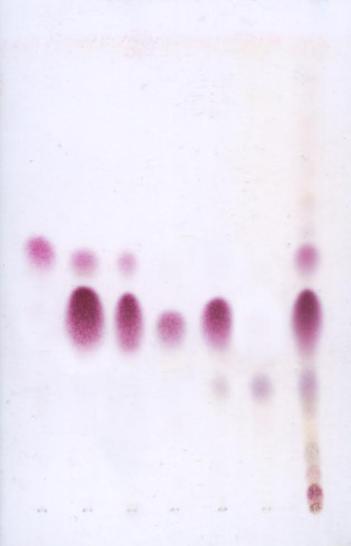F Adsorbent: żel krzemionkowy Układ rozwijający: heksan octan etylu 1:1 Wywoływacz: odczynnik anyżowy 1-6. uzyskane w wyniku rechromatografii podfrakcje 7.