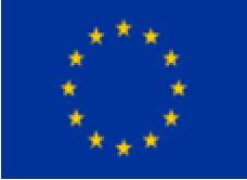 Europejska