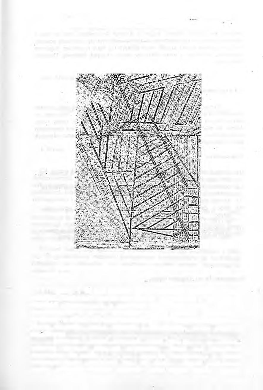 Obrazy sieci drenarskich na zdjęciach lotniczych 137 4.