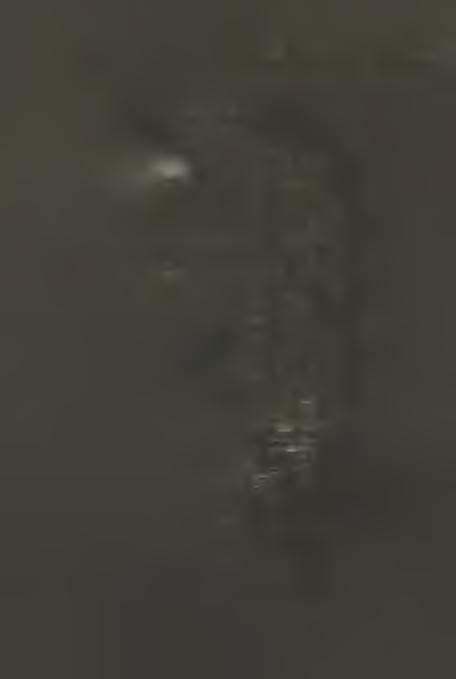 Szuśclk,