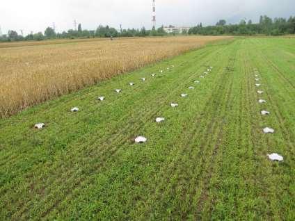 próbników Pomiar znoszenia