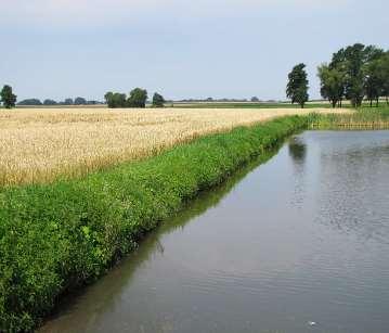 Znoszenie (% stosowanej dawki) ZNOSZENIE UPRAWY