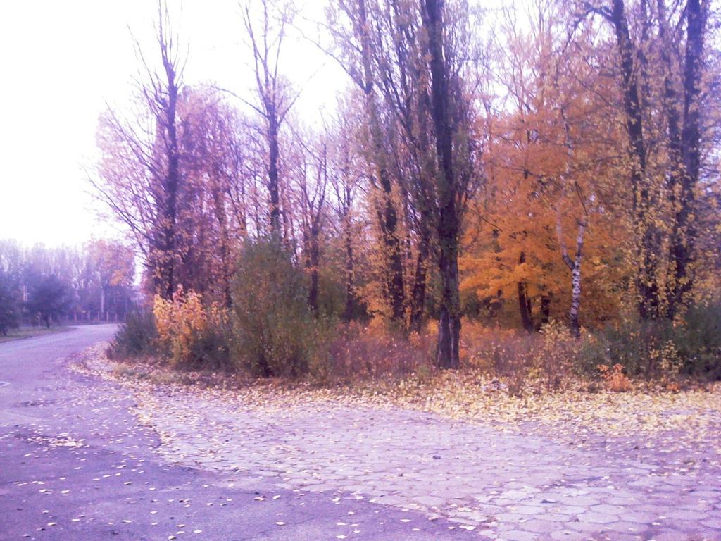 WYKORZYSTANIE