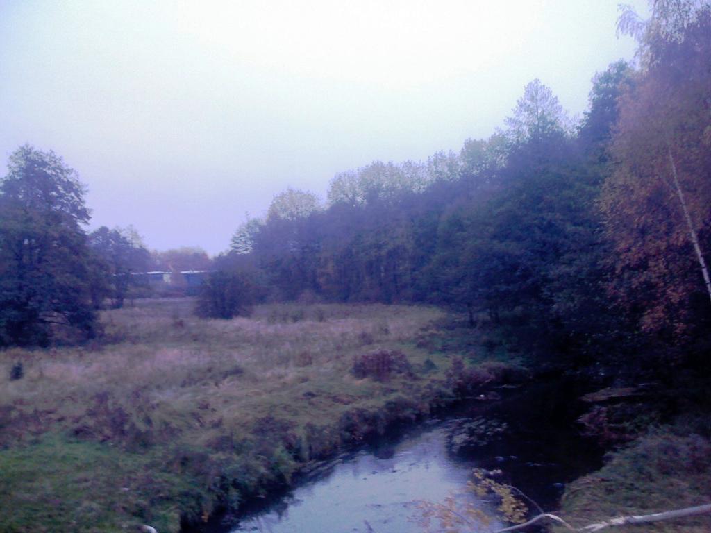 WYKORZYSTANIE