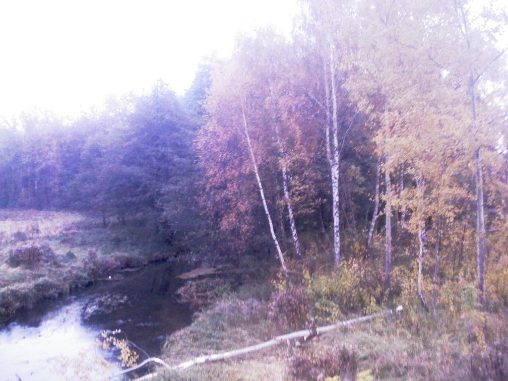 WYKORZYSTANIE