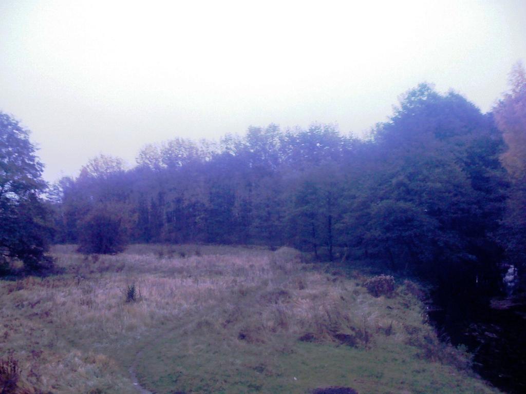 WYKORZYSTANIE