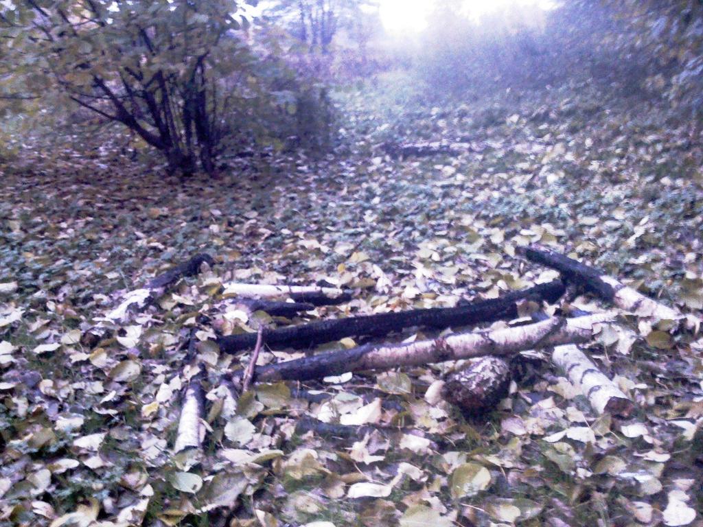WYKORZYSTANIE