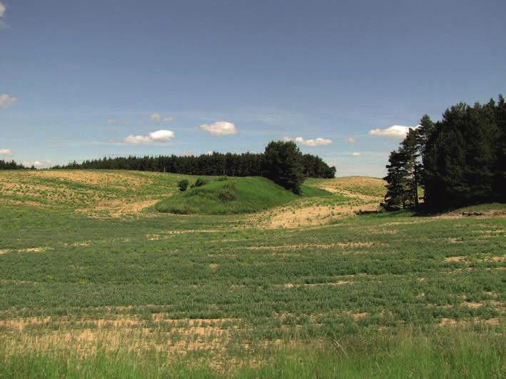 Fot.6. Izolowany fragment murawy kserotermicznej koło Nawodnej w obszarze Natura 2000 Dolna Odra, woj. zachodniopomorskie, otoczony intensywnie użytkowanymi polami uprawnymi (fot. K.