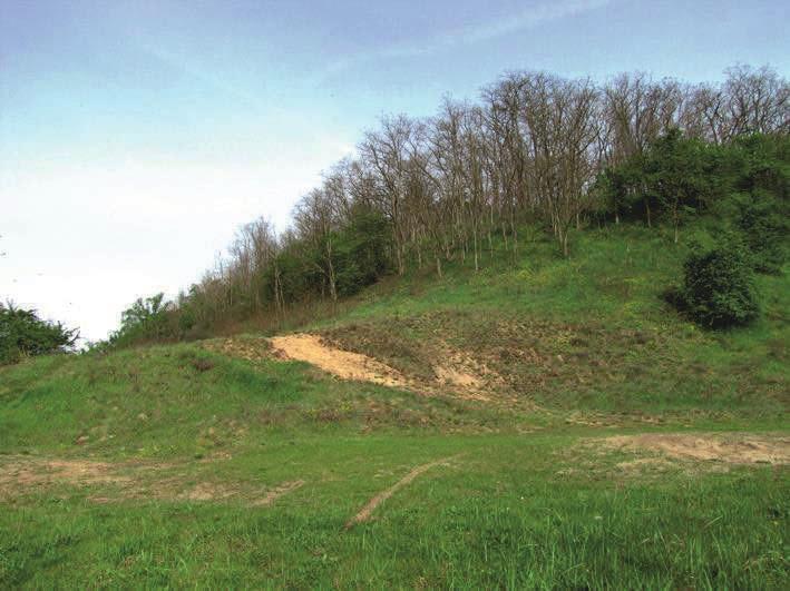 Fot.43. Podobszar Błeszyn (fot. K.