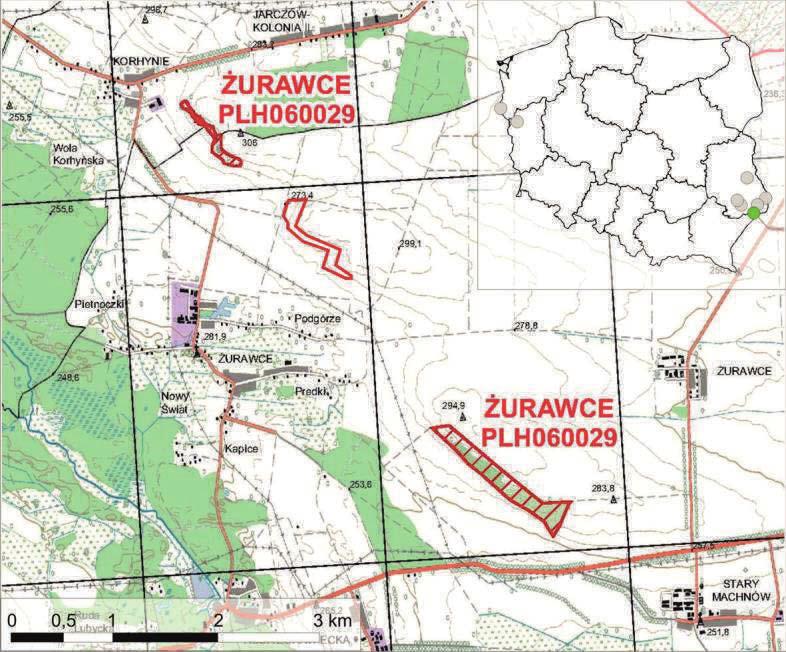 3.6. Żurawce Lokalizacja Ostoja Żurawce obejmuje zbocza 3 śródpolnych wzgórz znajdujących się w bliskim sąsiedztwie miejscowości Korhynie, Żurawce i Machnów Stary w gminie Lubycza Królewska.