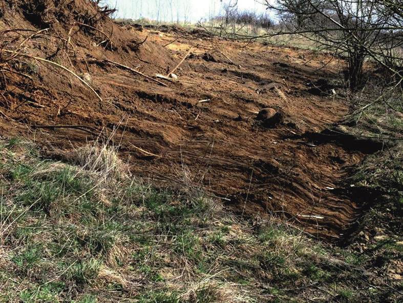 Dzięki temu została usunięta wierzchnia warstwa gleby, zanieczyszczona przez nasiona robinii oraz pozostałości jej korzeni i karp, a także wzbogacona nadmiernie w azot.