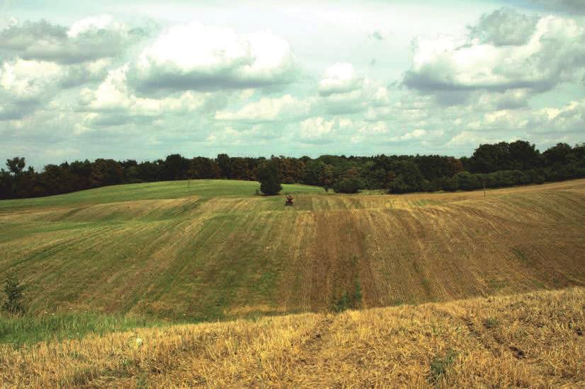 Fot.76. Zaorane murawy koło Zatoni, w obszarze Dolna Odra, przeznaczone do odtwarzania (fot. K.