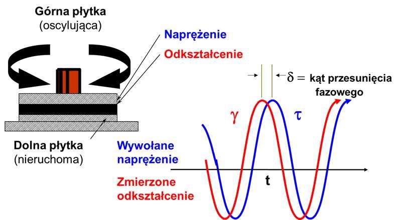 starzeniu RTFOT Lepiszcze oryginalne
