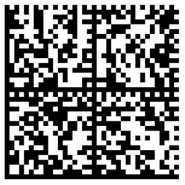 5 Drukowanie raportów Drukarkę typu Sato CG2 należy podłączyć do jednego z gniazd USB typu Host. Drukować można wyniki pomiarów bezpośrednio po pomiarze lub zapisane w pamięci.