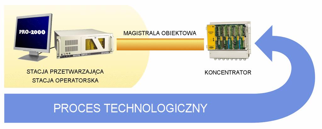 8 Witamy w systemie PRO-2000 1.1 Architektura Struktura sprzętowa, na której może pracować system PRO-2000 jest bardzo elastyczna.