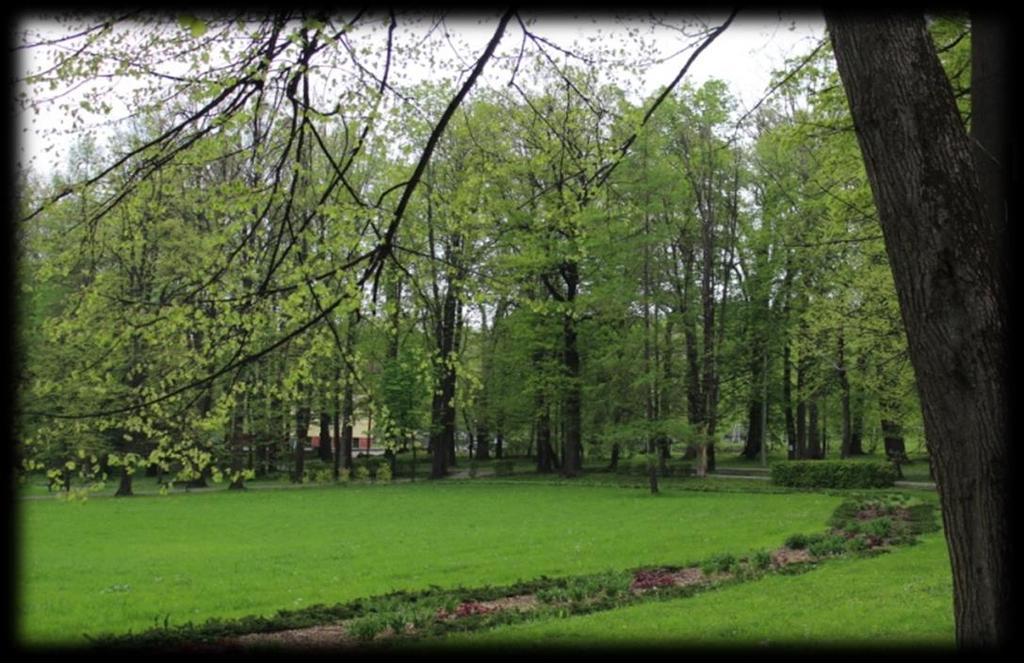 Park