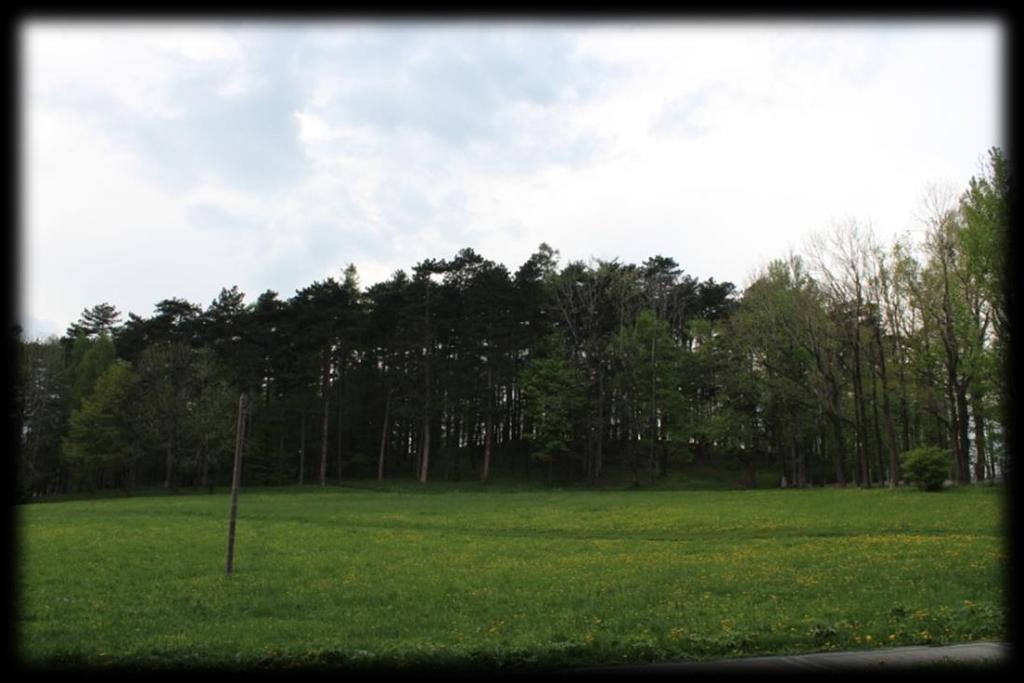 Altana na Wzgórzu