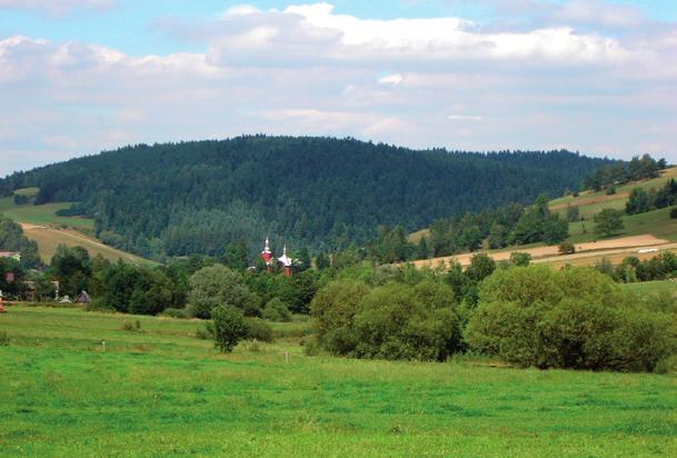 Jedziemy wąską drogą wśród łąk i pastwisk. Mijamy (17,8 km) gospodarstwo pięknie położone w niewielkim obniżeniu i zaczynamy jazdę w kierunku Banicy.